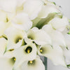 Pure modern bouquet closeup