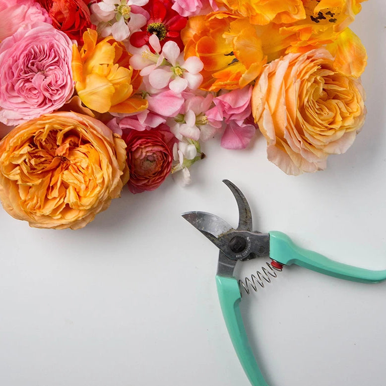 Designer's choice with flowers and clippers